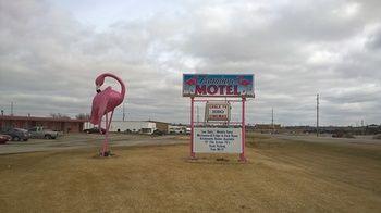 Flamingo Motel マーシャルタウン エクステリア 写真